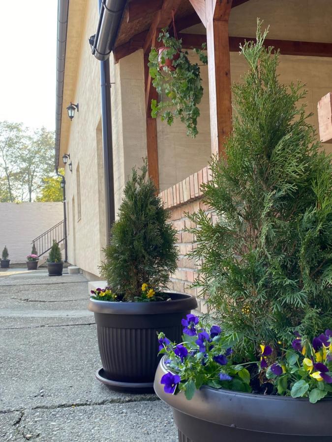 Omis Rooms Pančevo Екстериор снимка
